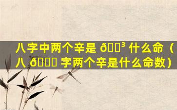 八字中两个辛是 🐳 什么命（八 🍁 字两个辛是什么命数）
